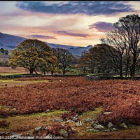 Buy canvas prints of Wasdale Late Autumn  by ROS RIDLEY