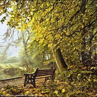 Buy canvas prints of Take a seat in a misty wood by ROS RIDLEY