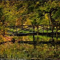 Buy canvas prints of Autumn at the bridge by ROS RIDLEY