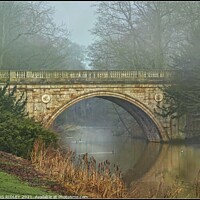 Buy canvas prints of Winter foggy reflections at Lion Bridge by ROS RIDLEY