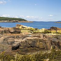 Buy canvas prints of  Acadia Rocks by Ian Danbury