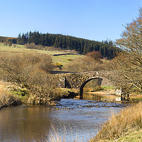 Buy canvas prints of Dartmoor Two Bridges by Ian Danbury