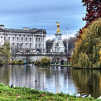 Buy canvas prints of Buckingham Palace View by Ian Danbury