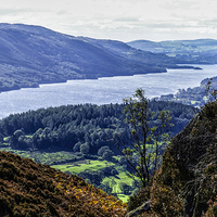 Buy canvas prints of  Lake Coniston from Holme Fell by Brian Garner