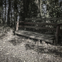 Buy canvas prints of  Old Bench by the Grantham Canal by Brian Garner