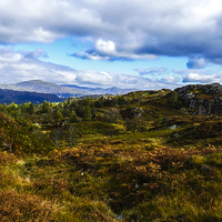 Buy canvas prints of  View from Holme Fell Summit by Brian Garner