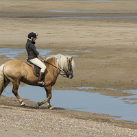 Buy canvas prints of  Horse and Rider at Anderby Creek by Brian Garner