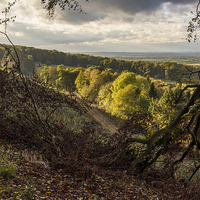 Buy canvas prints of  A View from Belvoir Ridge by Brian Garner