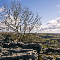 Buy canvas prints of  View over Malham Cove 2 by Brian Garner