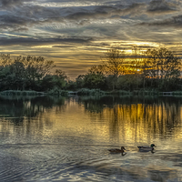 Buy canvas prints of  Waterside Sunset by David Charlton