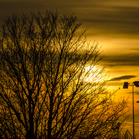 Buy canvas prints of  Sunset colour by David Charlton