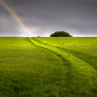Buy canvas prints of  A track in a field leading to a rainbow by Mal Bray