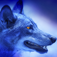 Buy canvas prints of  Blue Wolf Moon Fantasy by Mal Bray