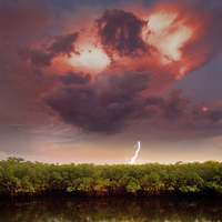 Buy canvas prints of  Mangrove Storm with lightning reflected. by Mal Bray
