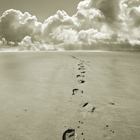 Buy canvas prints of  Footprints in Sand by Mal Bray