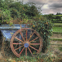 Buy canvas prints of  Old and Overgrown Cart by Mal Bray