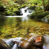 Buy canvas prints of  Welsh Stream near Aber Falls by Mal Bray