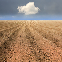 Buy canvas prints of  A Ploughed Field and a Cloud by Mal Bray