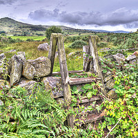 Buy canvas prints of Old Welsh Wall by Mal Bray