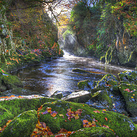 Buy canvas prints of            Fairy Glen Gorge in Autumn              by Mal Bray