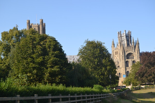 Ely Cathedral Picture Board by John Bridge