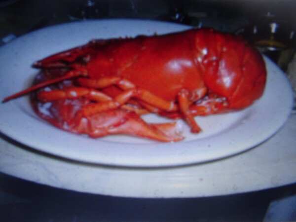 A Maine Lobster Picture Board by John Bridge