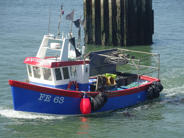 Fishing Boat at Whitstable Picture Board by John Bridge