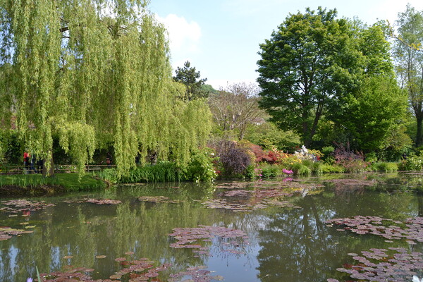 Monet's Garden Picture Board by John Bridge