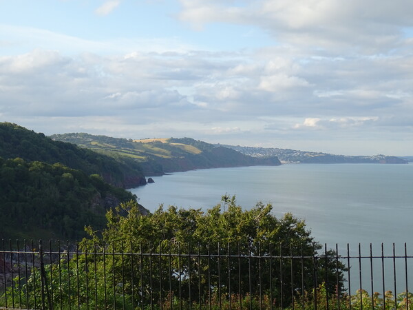 Coastal View from Babbacombe Downs Picture Board by John Bridge