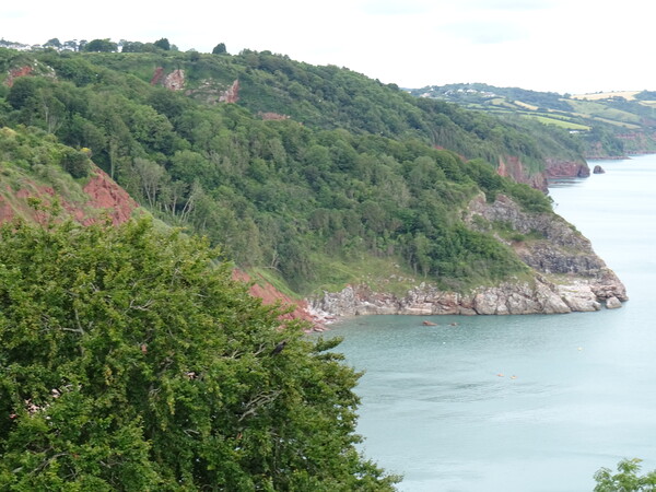 Coastal View from Babbacombe Downs  Picture Board by John Bridge
