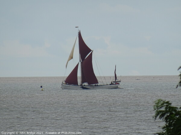 Thames Barge off West Mersea Picture Board by John Bridge