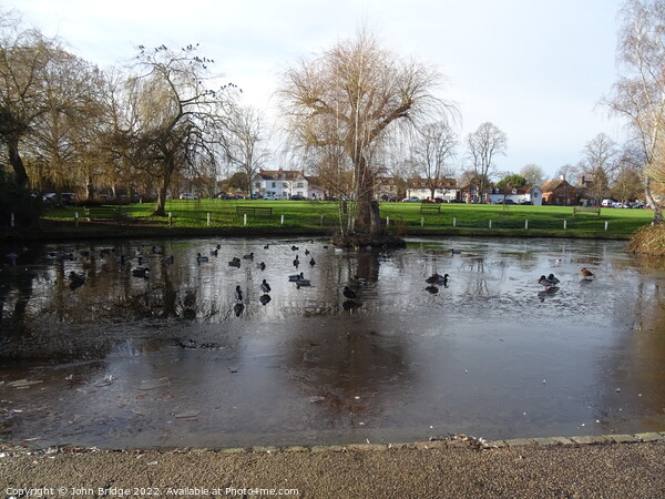 Winter on the Duck  Pond at Writtle Picture Board by John Bridge
