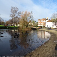Buy canvas prints of Winter on the Duck  Pond at Writtle by John Bridge
