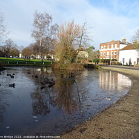 Buy canvas prints of Winter on the Duck  Pond at Writtle by John Bridge