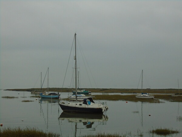 A Yacht reflecting in the water in Old Leigh in the Thames Estuary Picture Board by John Bridge