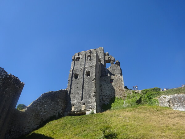 Corfe Castle Ruins Picture Board by John Bridge