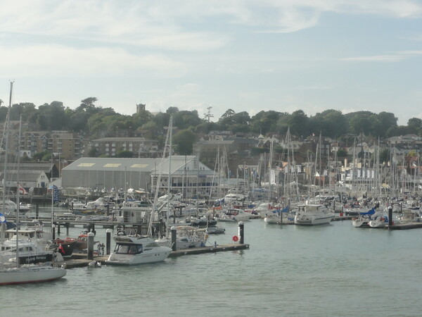A Marina of Yachts Picture Board by John Bridge