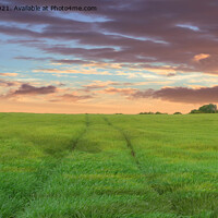 Buy canvas prints of Outdoor field with sun setting Endless Summer Fiel by Andrew Heaps