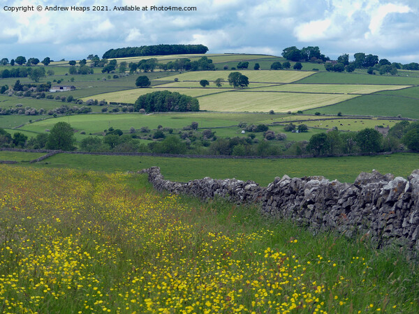 Rolling fields around Lathkill Dale Picture Board by Andrew Heaps