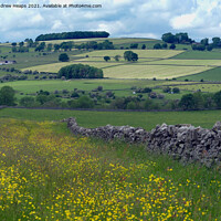 Buy canvas prints of Rolling fields around Lathkill Dale by Andrew Heaps