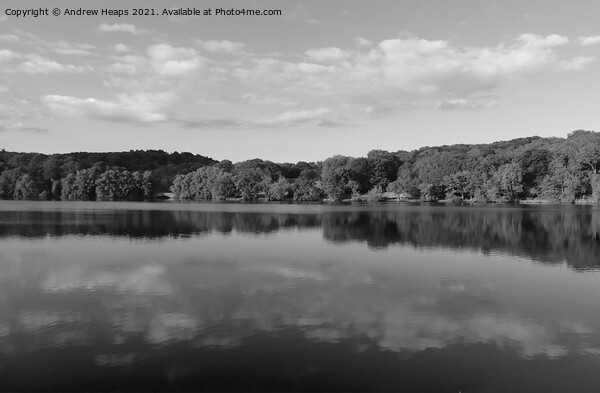 Knypersley reservoir reflections in black and whit Picture Board by Andrew Heaps