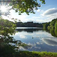 Buy canvas prints of Knypersley reflections on reservoir with sun star burst. by Andrew Heaps