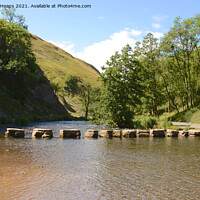 Buy canvas prints of Stepping Stones at Dovedale. by Andrew Heaps
