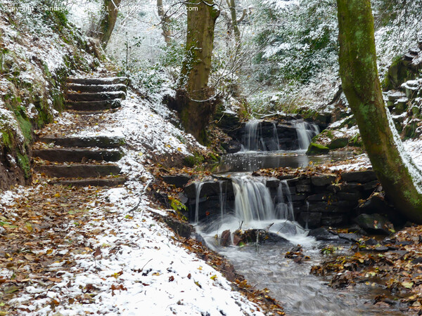 Winters scene of stream in woodland waterfall afte Picture Board by Andrew Heaps