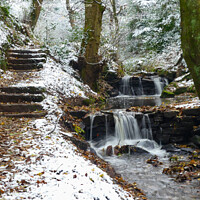 Buy canvas prints of Winters scene of stream in woodland waterfall afte by Andrew Heaps