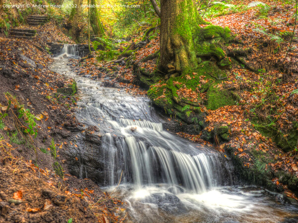 Autumnal waterfall in woodland. Picture Board by Andrew Heaps