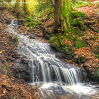 Buy canvas prints of Autumnal waterfall in woodland. by Andrew Heaps