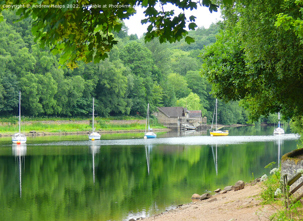 Reflection of yachts in water at Rudyard lake Picture Board by Andrew Heaps