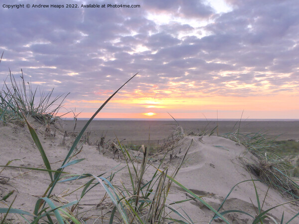 Sunset over sand dunes at Lytham St Annes Picture Board by Andrew Heaps