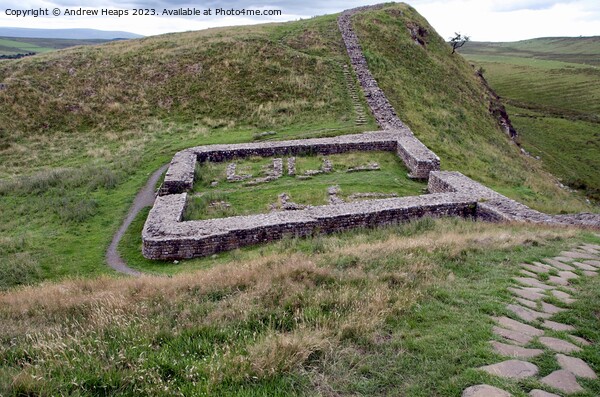 Historic Hadrian's Wall ruins Picture Board by Andrew Heaps